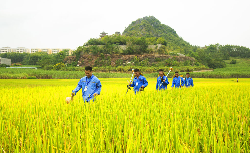 測(cè)繪技術(shù)人員走在田間地頭服務(wù)“三農(nóng)”