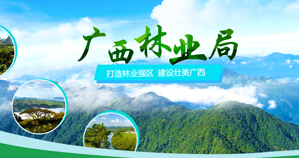 廣西林業(yè).fw_r1_c2