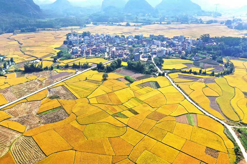 ��ɳ�(zh��n)��ü����ü��