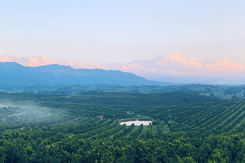 ��˼�h˼��(zh��n)���ܴ���W��