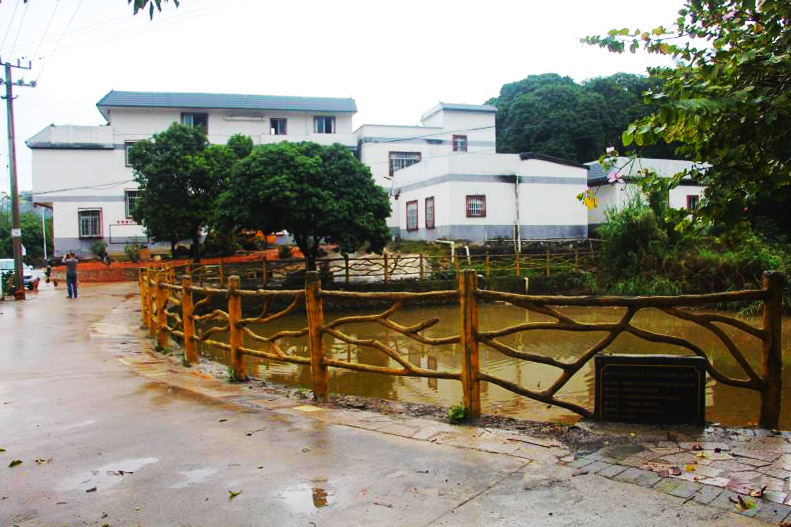 ���ǅ^(q��)ʮ�f�����l(xi��ng)ľ�Ŵ�