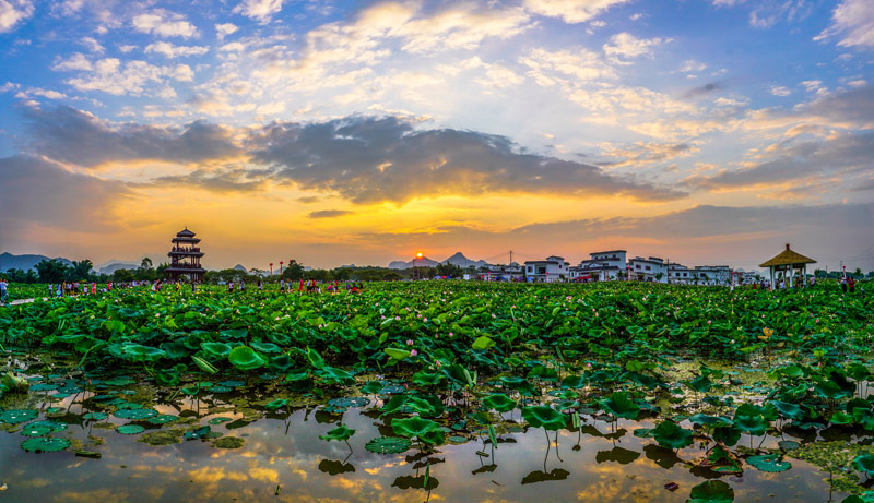 �����^(q��)�����ֵ����P��