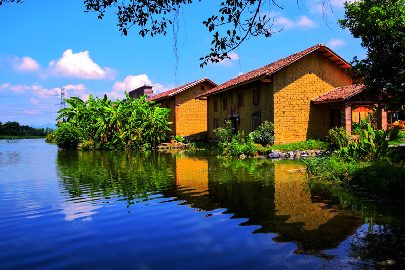 ���d�^(q��)���d�(zh��n)ʮ�ɴ�