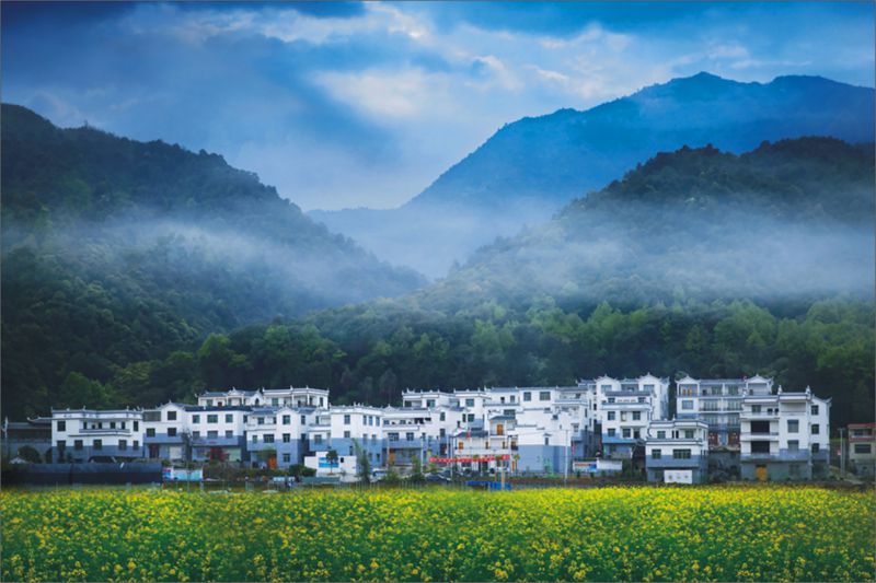 �����������r(n��ng)�����B(t��i)��^(q��)