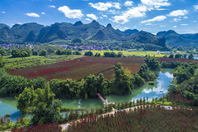 �d�e�^(q��)�����(zh��n)���ϴ�