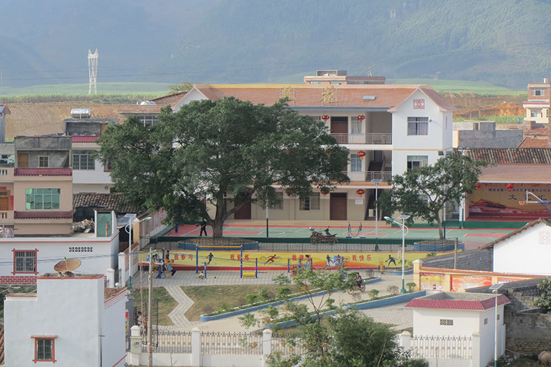 ����(zh��n)������ί������