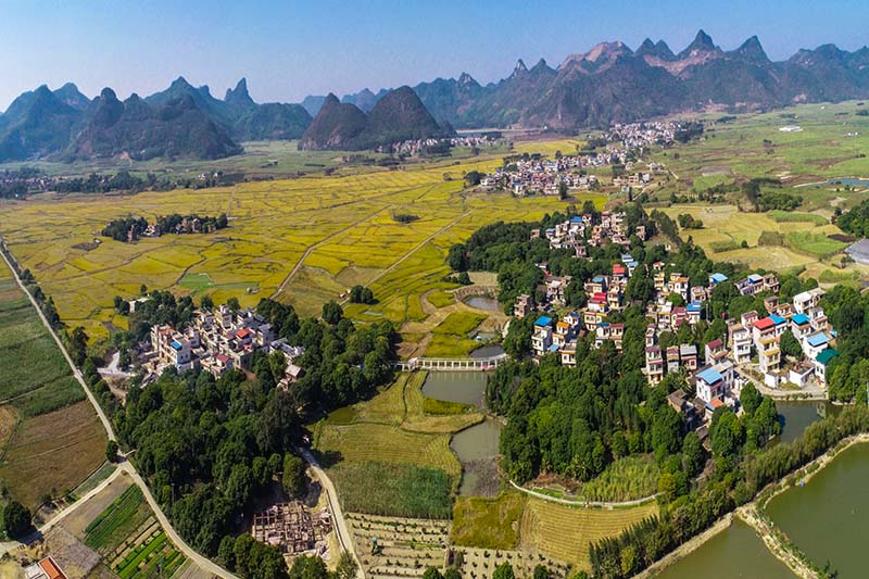 �d�e�^(q��)�P���(zh��n)�L����