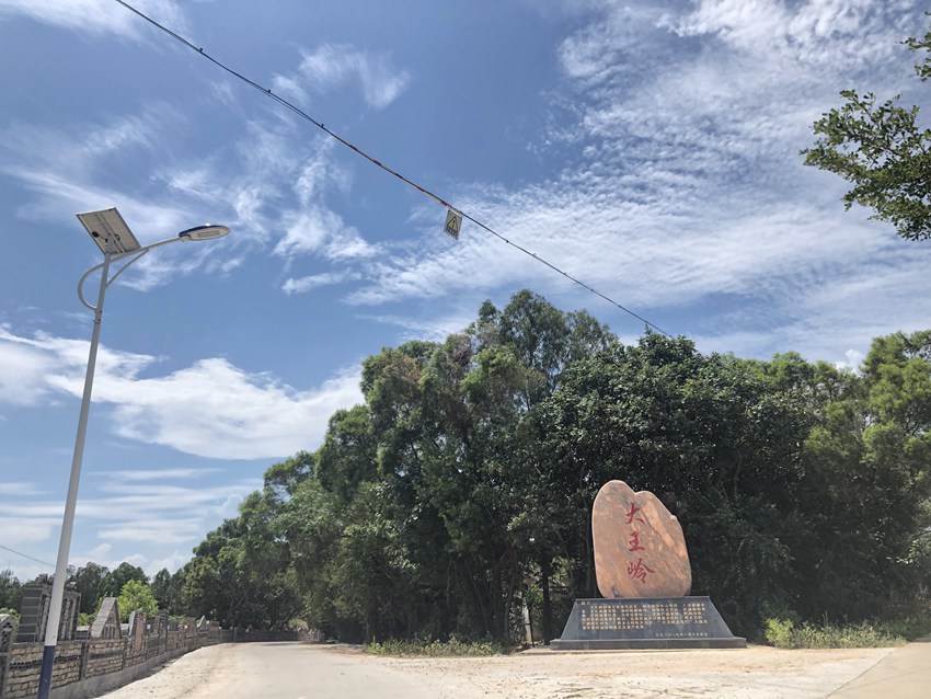 �Fɽ�ۅ^(q��)�I�P�(zh��n)�����X��