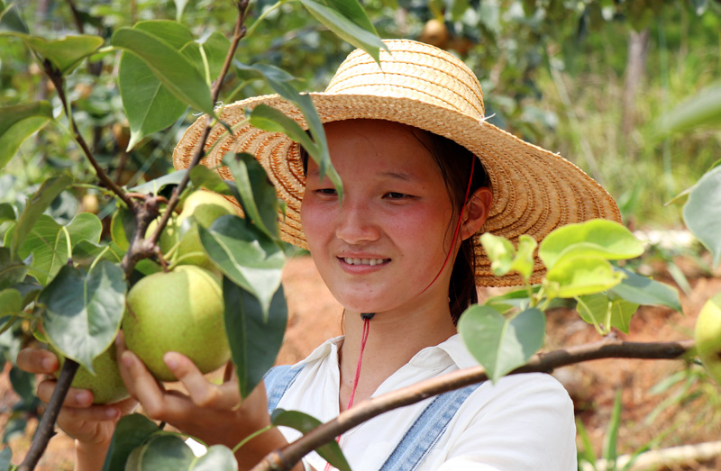 �������ڲ�ժ������犽��z