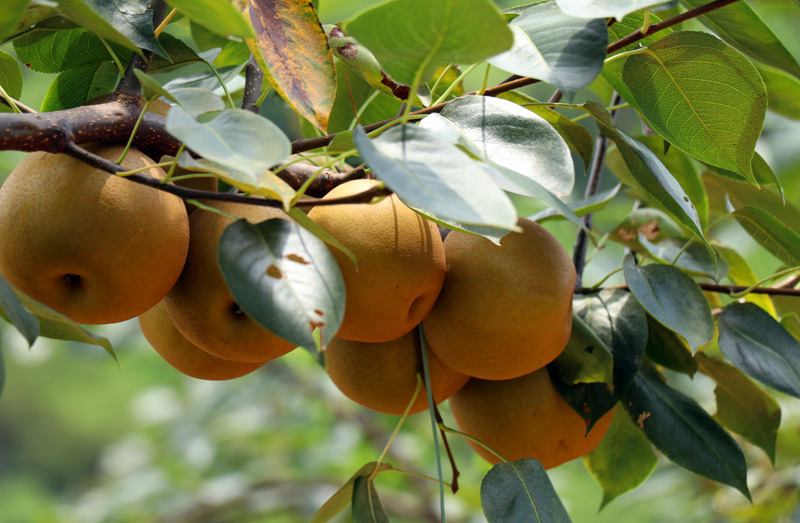 �����L��ϲ�ˡ�犽��z