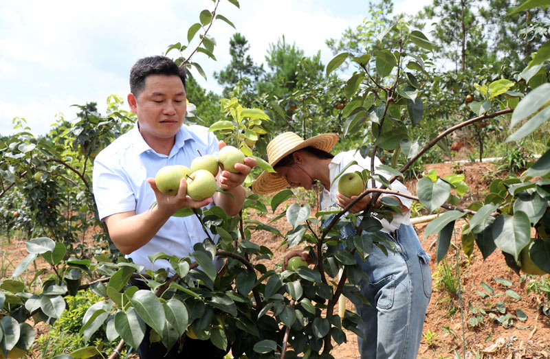 �������ڲ�ժ������犽��z