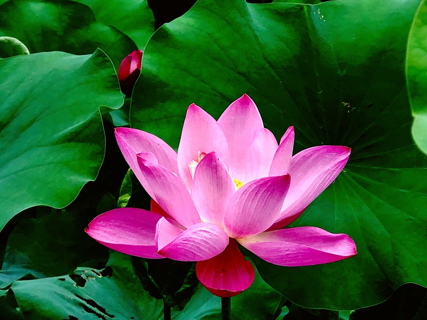 �ɻ�ʢ�_(k��i)��