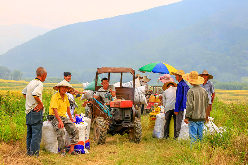 �b�\(y��n)���ȡ�