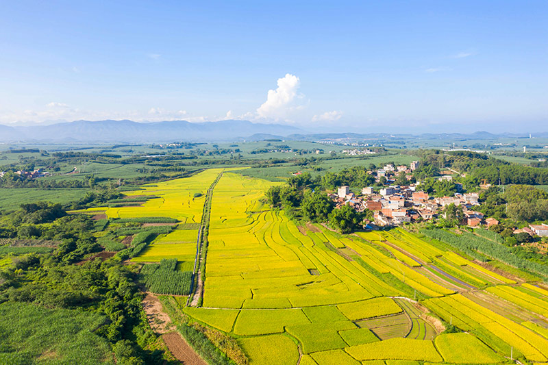 ����һƬ���S��