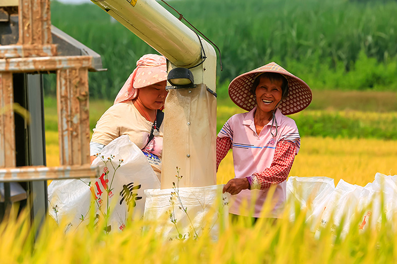 �S�յ�ϲ����