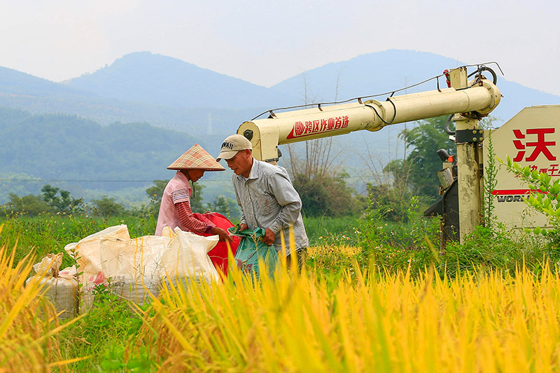 �C(j��)е�������ļZ��