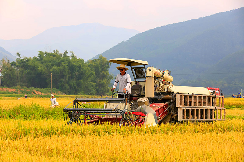 �C(j��)е�������ļZ��