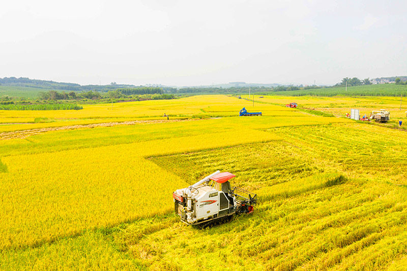 �C(j��)е�������ļZ��