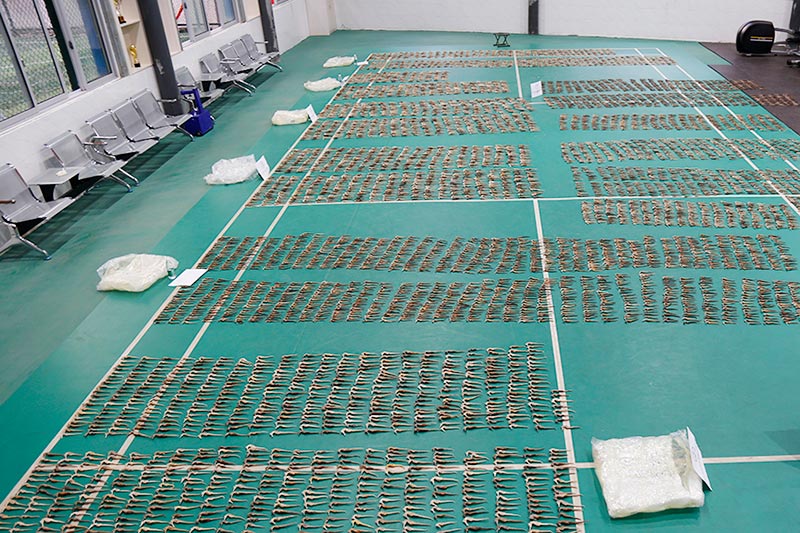 ��@�ĺ��R����