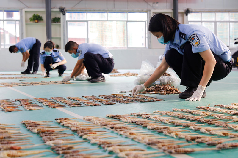 �񾯌�(du��)��@�ĺ��R���M(j��n)�����c(di��n)��