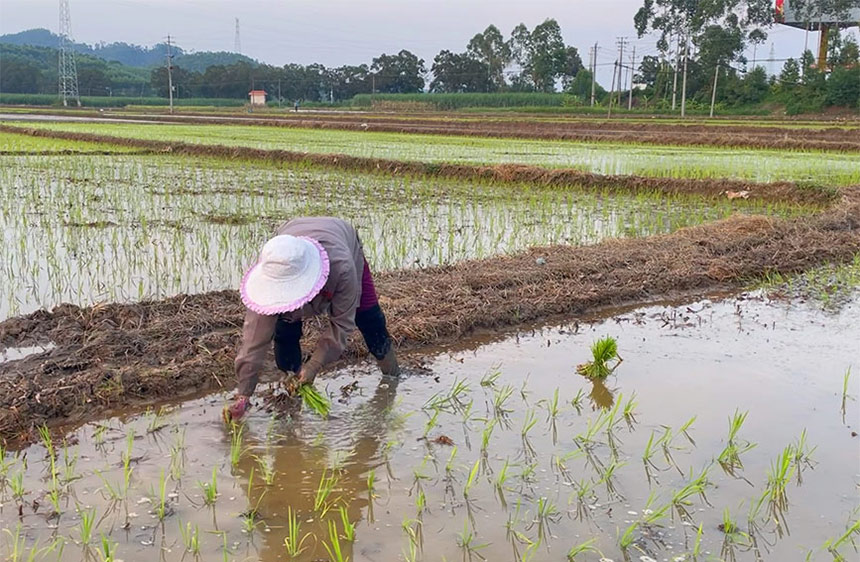 �����ړ�ץ�r(n��ng)�r(sh��)������