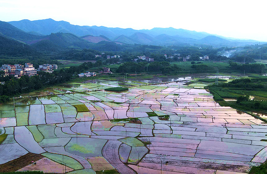 ��Ұ���L(f��ng)����