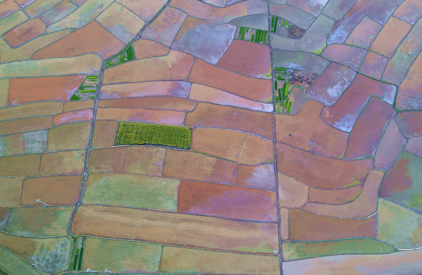 ˮ�����硰�{ɫ�塱��