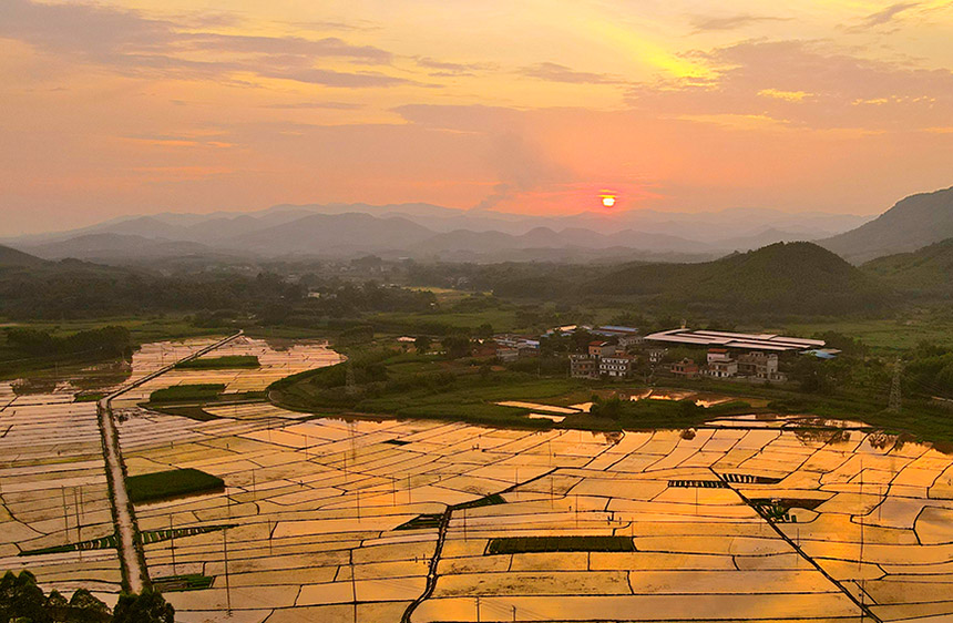 ����ӳ����ˮ��һƬ���S��