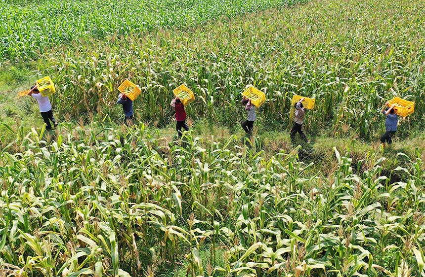 �r(n��ng)���ڰ��\(y��n)���ի@��ˮ��������