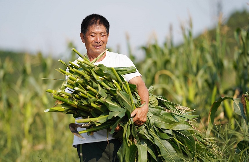 �r(n��ng)���ڰ��\(y��n)ˮ�����׽ն���