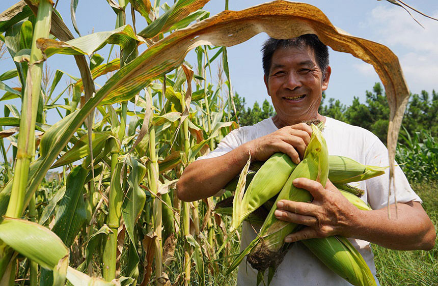 �r(n��ng)���ڲ�ժˮ��������