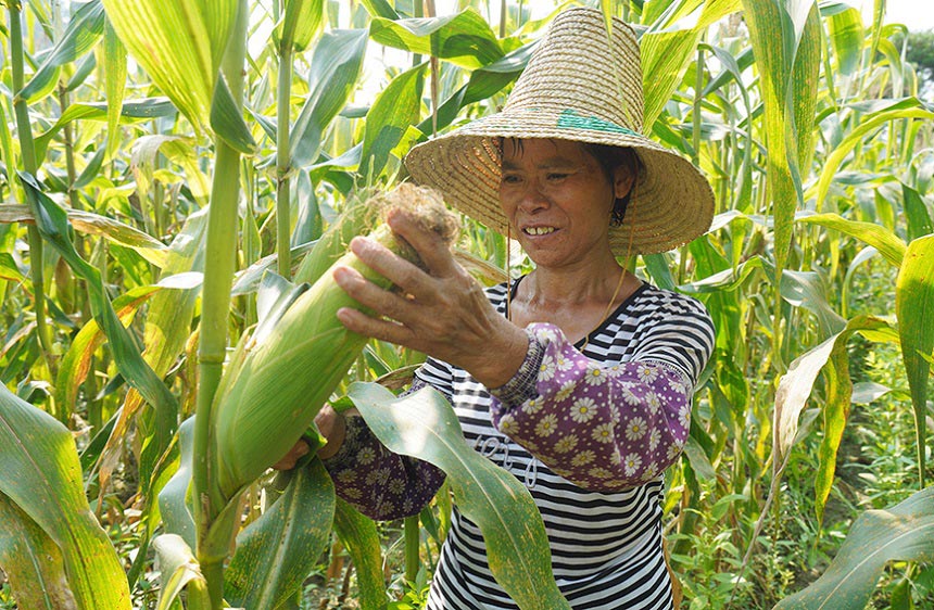 �r(n��ng)���ڲ�ժˮ��������