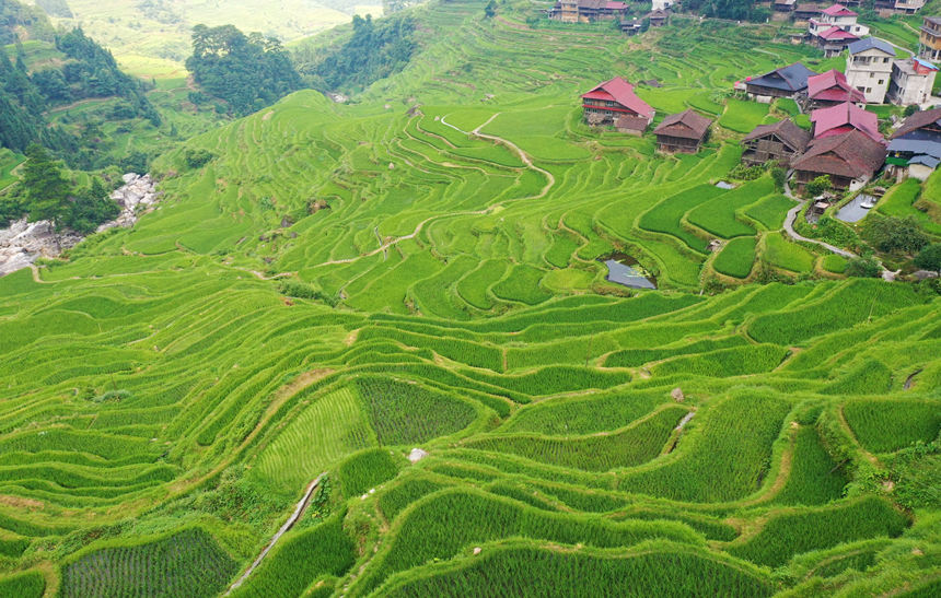 �V���������΅^(q��)��������ˮ�������οh��̫�l(xi��ng)Сɣ��կ������