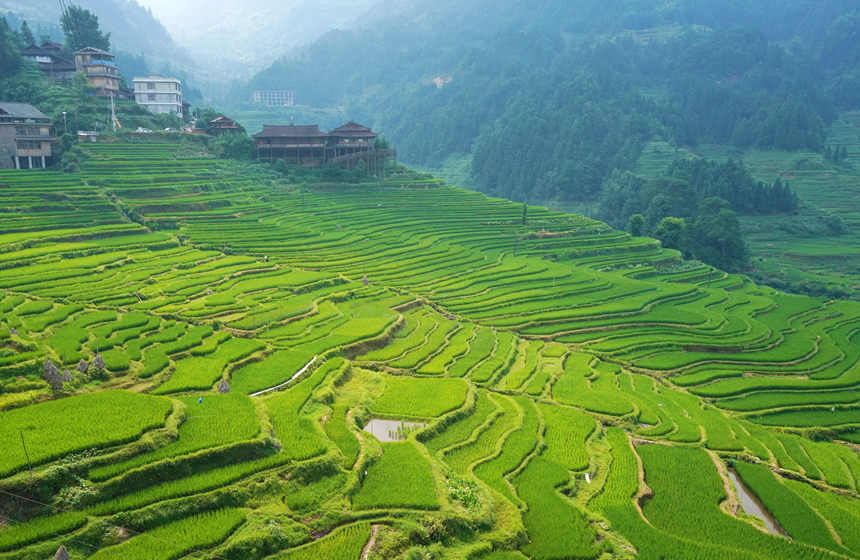 �����c�����ɽˮ�c�˾���