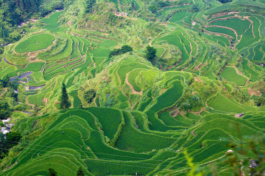 �V����������ˮ�������οh��̫�l(xi��ng)Ԫ����կ���