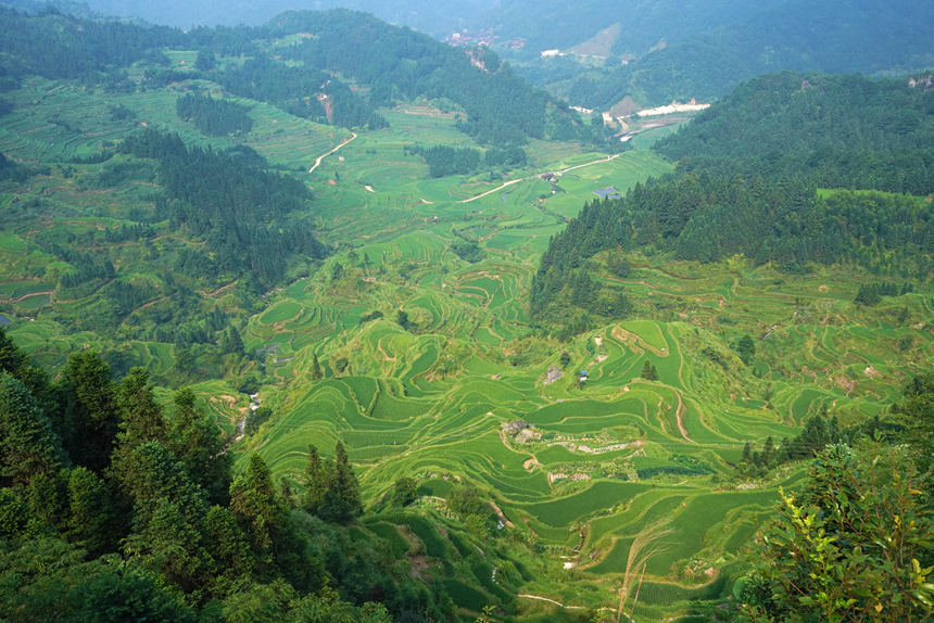 �A�s��ɽ�g�����