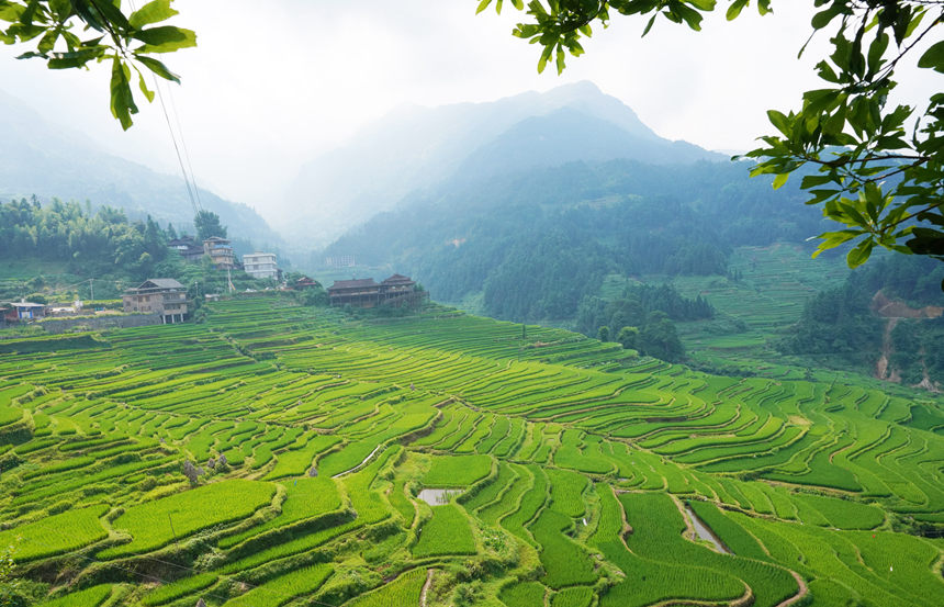 ���_���±M�ǌӌ����