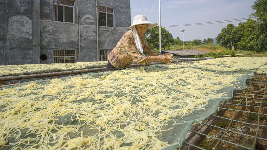 ������������S�z��