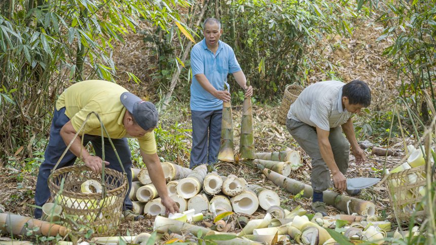 �������ո���S��