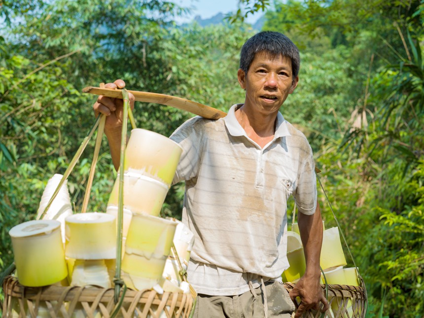 ����M�d���w��