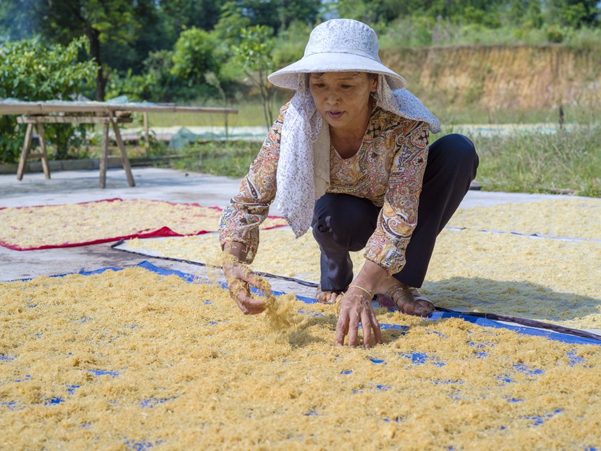 ����������S�z��