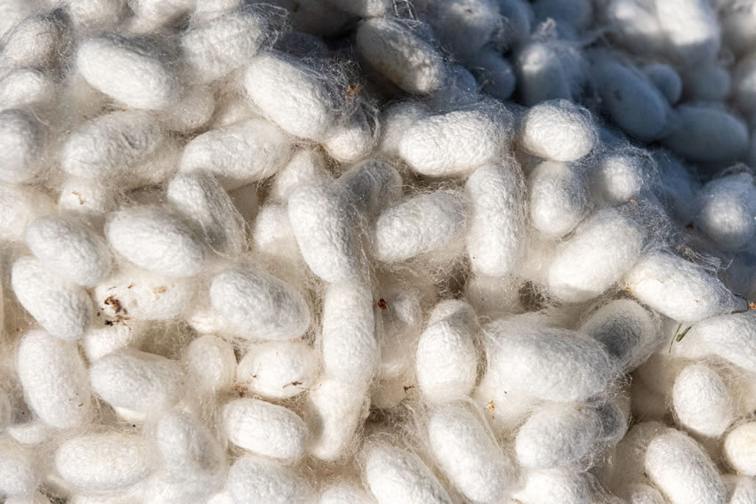 ���׵��Q�O���ܽ��i�z