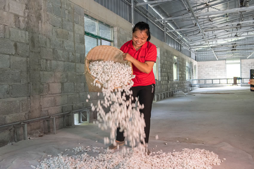 ѩ�׵��Q�O���ٲ�һ�ӃA�a�������ܽ��i�z