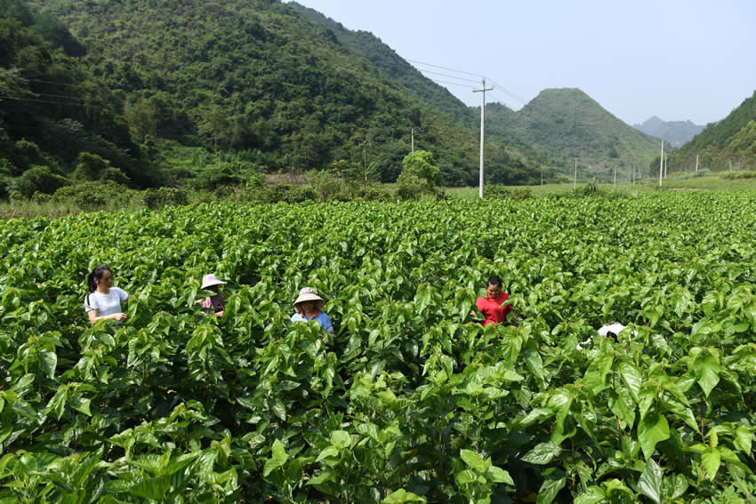 �L�����õ�ɣ�~���ܽ��i�z