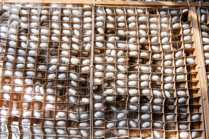 һ�����M����Q�O���ܽ��i�z