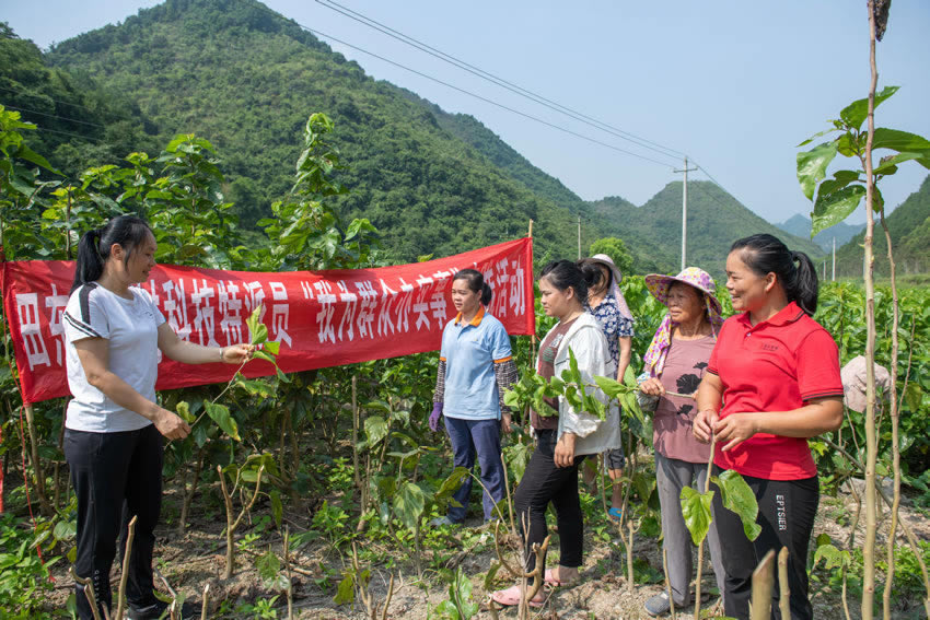 ��|�h�r(n��ng)�I(y��)�r(n��ng)��ּ��g�ˆT�������g���^�����n���ܽ��i�z