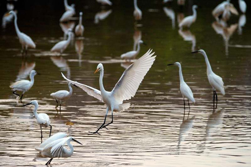 ����һ�����oҰ�������S�������