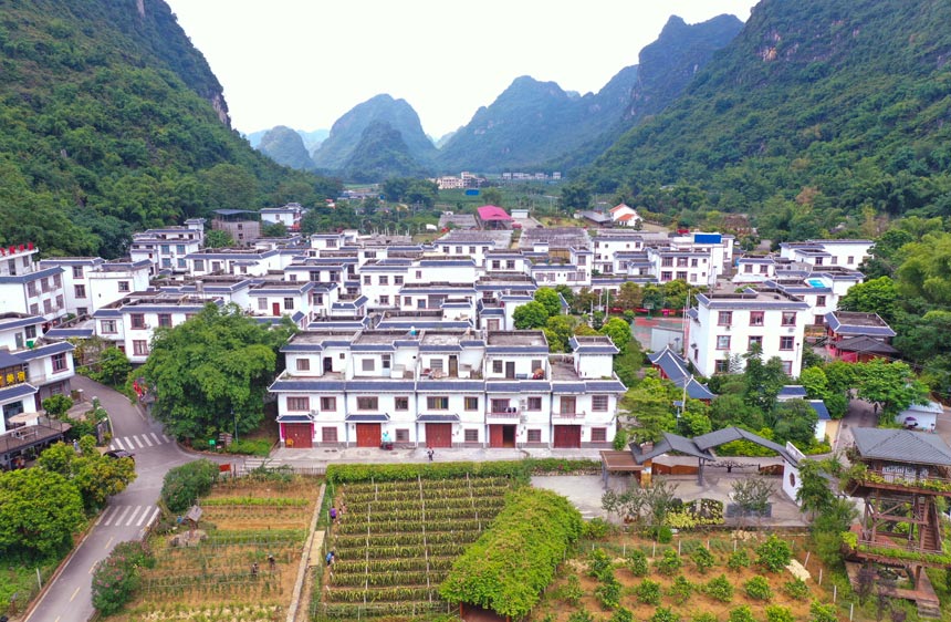 �Q�l(f��)���C�Ć��ϴ����Y�h�x�z