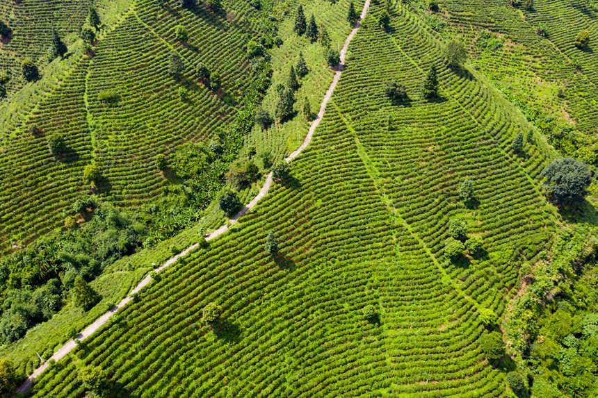 ���ďV���n��h�����(zh��n)�p�F���B(t��i)��@ʾ�����أ���@�����[�[�����箋��