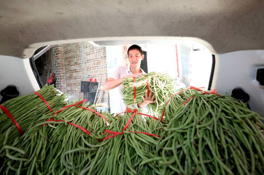 һ�������ڌ������b��܇�ϡ����տ��z